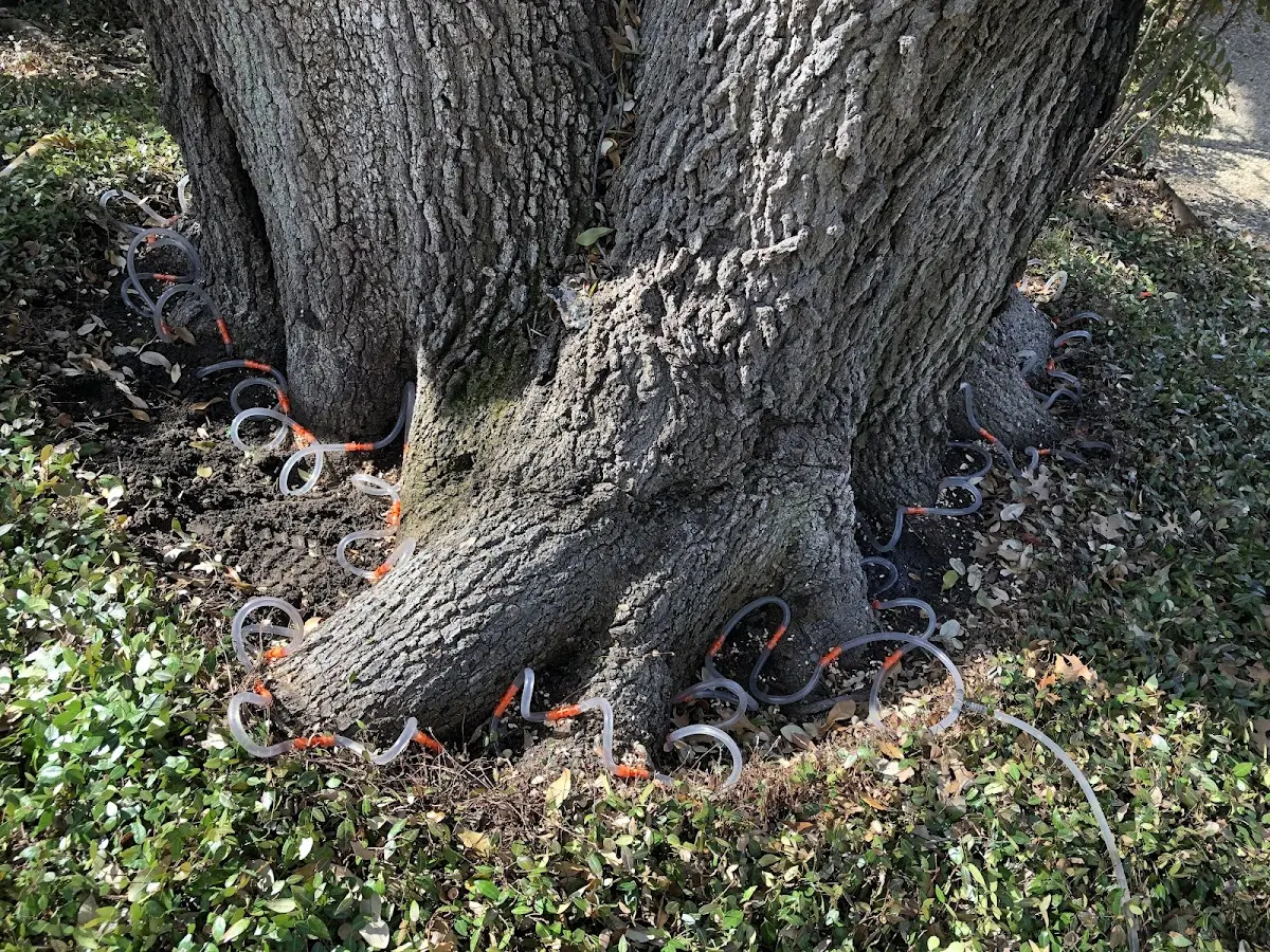 Detailed Shrub and Hedge Trimming job site in Olds